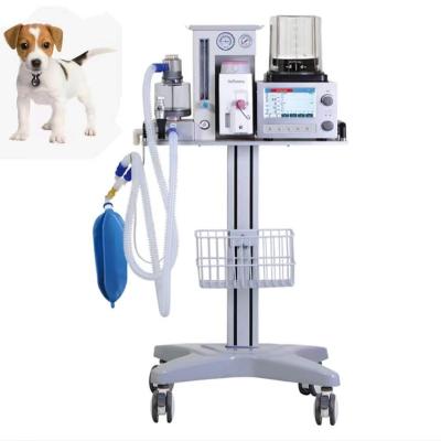 China Veterinary Anesthesia Machine Vet Anesthesia Machine With Universal Wheel DM6B for sale