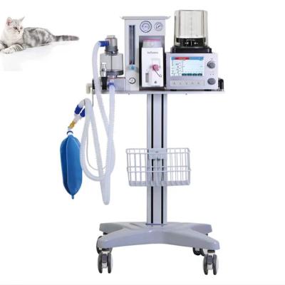 China Economic Veterinary Anesthesia Machine Anesthesia Machine For Veterinarian DM6B for sale