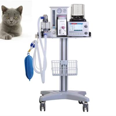 China Animal Anesthesia Machine Veterinary Inhalation Anesthesia Machine For Vet DM6B for sale