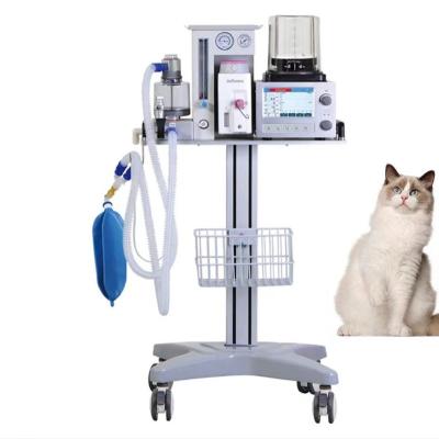 China portable veterinary anesthesia machine, anesthesia machine for vet use for sale, veterinary apparatus DM6B for sale