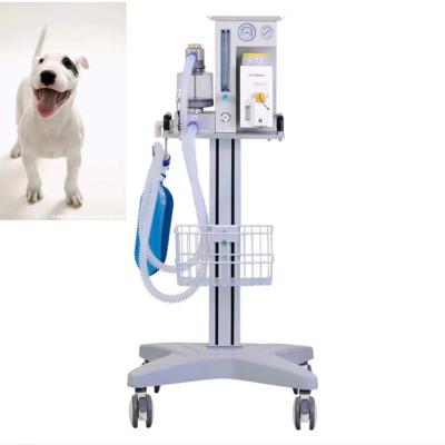 China Veterinary Anesthesia Machine Veterinary Operation Equipment Anesthesia Machine For Animal DM6C for sale