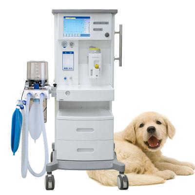 China Best Price Veterinary Anesthesia Machine Automatic Anesthesia Machine DM6A for sale