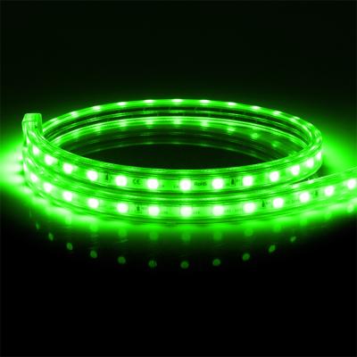 China Garden AC 120v Led Light Strip Light 5050 RGB Color Changing for sale