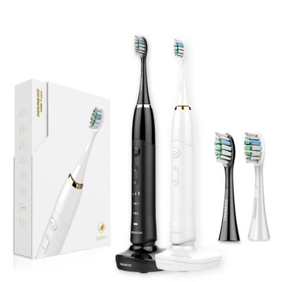 China SN801 Segment Time Reminder Electric Sonic Toothbrush With Magnetic Suspension for sale