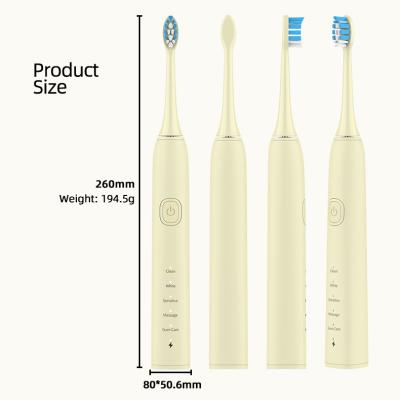 China Smart IPX7 Adult Timer Electric Toothbrush For Oral Cleaning Whitening for sale