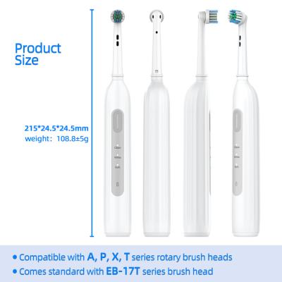 China Medium Bristle Electric Round Head Toothbrush Sonic Spin Toothbrush USB Charging for sale