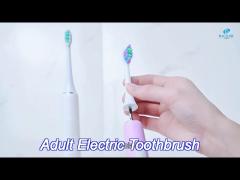 31200vpm ipx7 adult electric toothbrush oral care type-c rechargeable