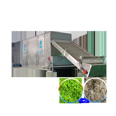 China Medicine Processing Continuous Seaweed Mesh Belt Dryer / Vegetable Drying Machine for sale