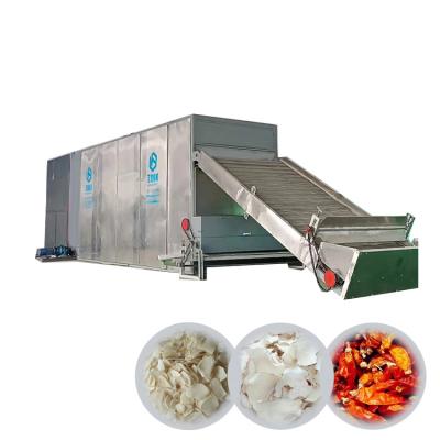 China Medicine Processing Vegetable And Fruit Mesh Belt Dryer With Factory Best Selling Price for sale