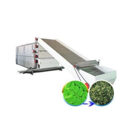 China Medicine Processing Stainless Steel Automatic Vegetable Dehydrator Marigold Leaves Drying Machinery Dryer Machine for sale