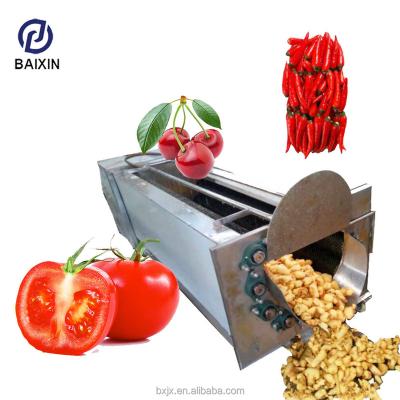 China industrial tomato washing machine dry cleaning machine for sale dry dates washing machine for sale