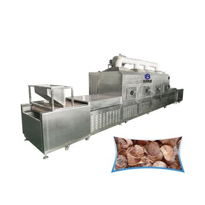 China Medicine Processing Small Industrial Pasta Drying Betel Nut Machine for sale