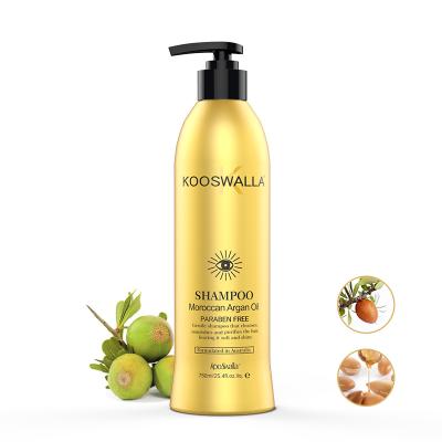 China Anti-itch Selling Hair Oil Products Private Label Shampoo Hair Treatment Natural Argan Oil Hair Shampoo for sale