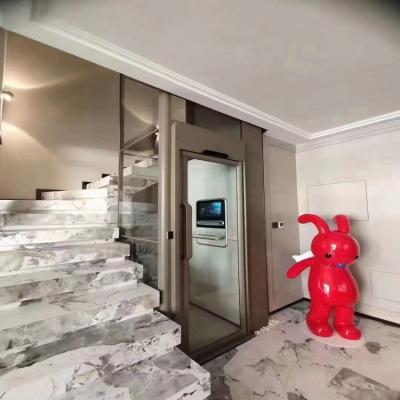 China Low Price Home Design Passenger Easy Operation Small Residential Elevator Classic For Villa House Customized Elevator for sale