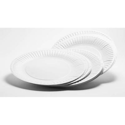 China 10inch/12inch Disposable Paper Plate Dish Eco Friendly Disposable Paper Plates for sale