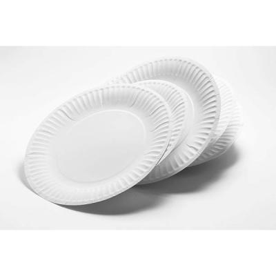 China ODM oill proof disposable biodegradable sugar cane bagasse paper plates for sale