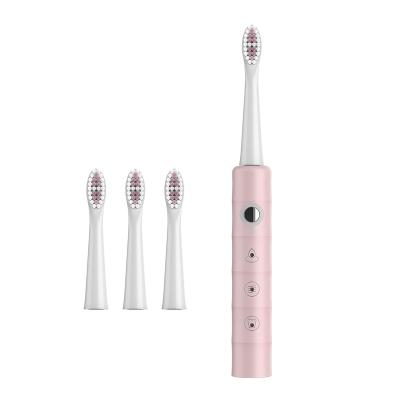 China Dupont Soft Bristle Electric Toothbrush, Adult Rechargeable Sonic And Soft Delrin Bristle, Automatic Electronic Toothbrush for sale