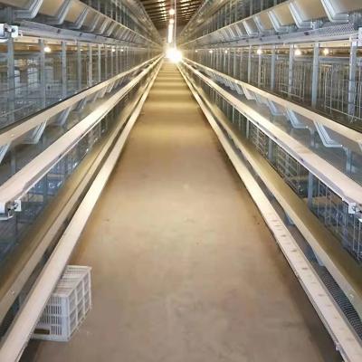 China Increase egg production 120 layers chicken cage for sale in Nigeria hot sale/automatic battery layer chicken cage for sale