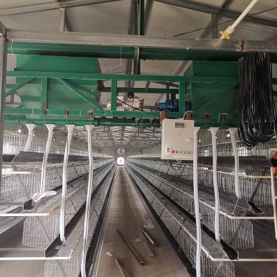 China Improve Chicken Feeding Efficiency And Labor Costs Saving Equipment / Automatic Poultry Drinkers And Feeders For Chickens for sale