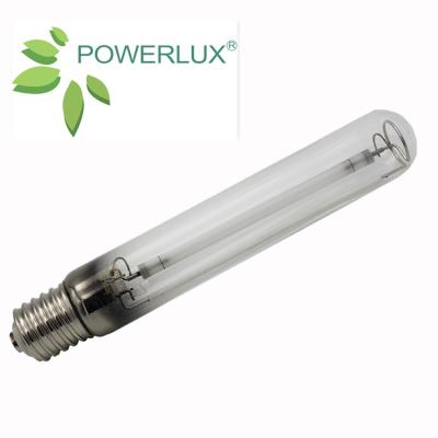 China Hoticulture / Grow Plant HPS Soidum Vapor 600W Grow Plant Lamp for sale