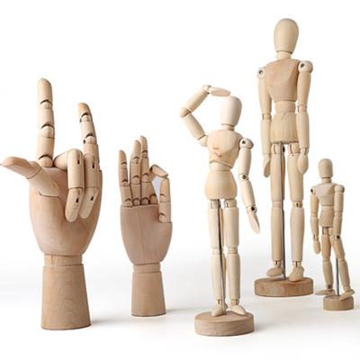 China Comic sketch and drawing Mikailan - 14/15/20/30/40cm wooden body and 18/25/30 cm hand art mannequin for comic sketch and art drawing for sale