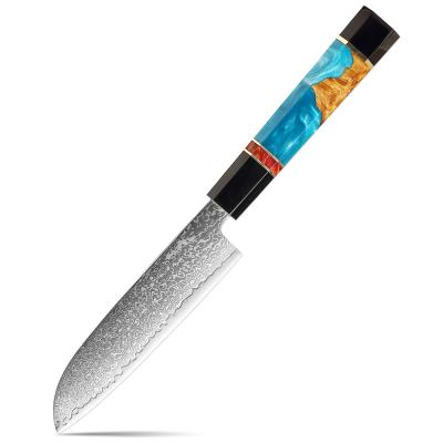 China Viable Professional 67 Layer Damascus Blade Resin Handle Small Steel Kitchen Knives Cutting Chef Paring Fruit Serving Knife for sale