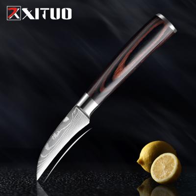 China XITUO 7cr17 Stanless Steel Paring Knife Sustainable Kitchen Knife Cooking Tool for sale