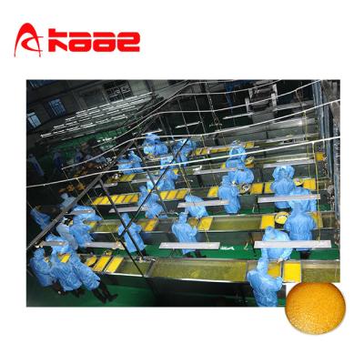 China SUS304 orange/lemon bags processing line/making machine for sale