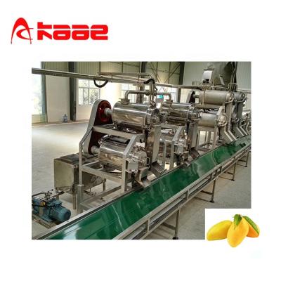 China Industrial Automatic Mango Pulper Pulping Plant for sale