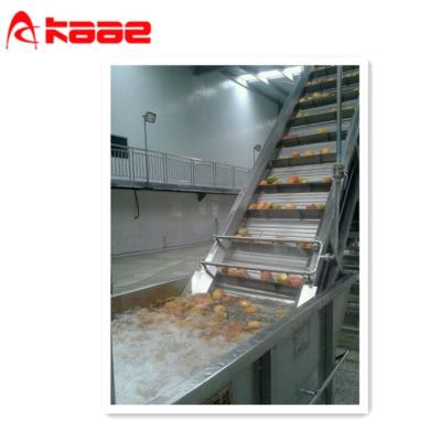 China food & Beverage Factory High-output Fruit / Mango Pulp / Puree Processing Line for sale