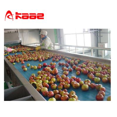 China SUS304 Concentration Apple Juice Making Machine for sale