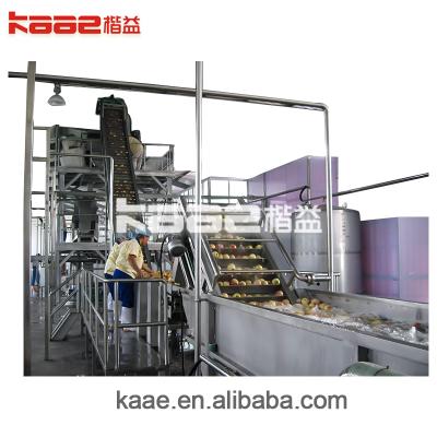 China High Efficiency Easy Operate Apple Juice Processing Line Handing Capacity From 1tons/hour To 120 Tons/hour for sale