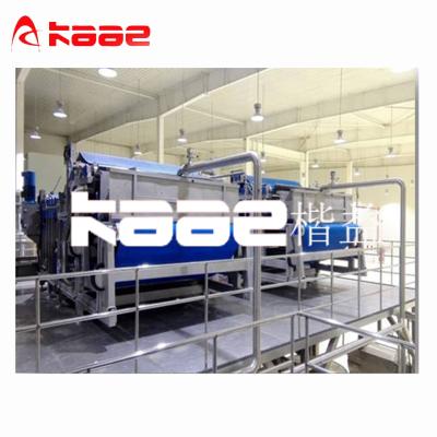 China Turnkey Factory Berry Juice Processing Line for sale