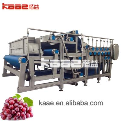 China Fruit Processing Plant Grape Concentrated Juice Production Line Wuxi Manufacturers for Direct Supply for sale