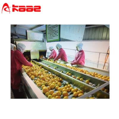 China Fruits and vegetables sorting hot sale Chinese ss304 grading roller fruit conveyor sorter for sale