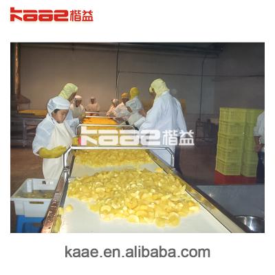 China High Efficiency Easy Operate Professional High Quality Canned Food Food Processing Line for sale