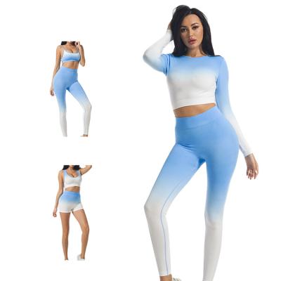 China Long Shade Gym Workout Fitness Women Yoga Clothes Breathable Eco-Friendly Sheathed Seamless Set for sale