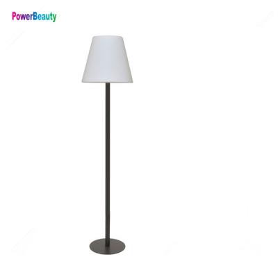 China Modern Functions RGB Table Side Lighting Led Floor Lamp Home Decor For Night Lighting for sale