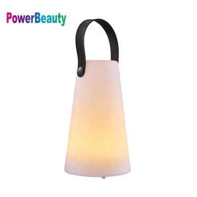 China Hot Sale Modern PE Desk Lamps Study Table Lamps Rechargeable Led Night Light for sale