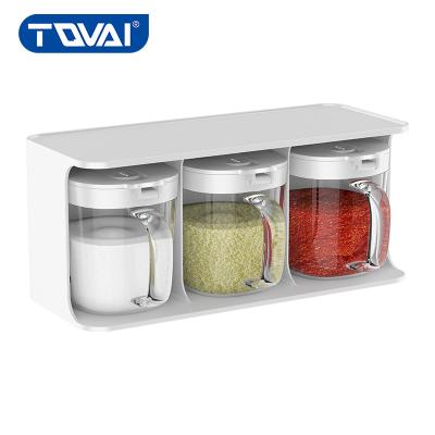 China TQVAI Sustainable Multifunctional Seasoning Box Set Glass Salt And Pepper Bottle With Handle And Spoon for sale