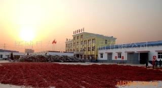 Verified China supplier - Zhecheng County Chunhai Chilli Foodstuff Co., Ltd.