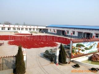 Verified China supplier - Zhecheng County Chunhai Chilli Foodstuff Co., Ltd.