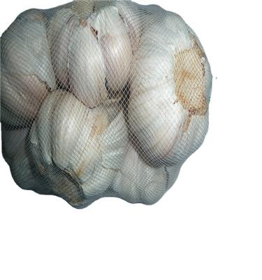 China 2020 fresh chinese fresh white garlic for sale