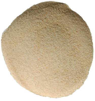 China 80-100mesh China Fresh Garlic Powder Dehydrated for sale