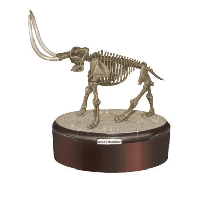 China Newest Toys Small Eco - Friendly Dinosaur Skeleton For Children About 15cm L for sale