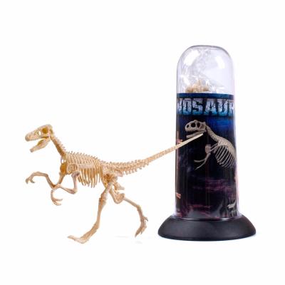 China Small Velociraptor Dinosaur Safety Toys PVC Dinosaur Plastic Toy Dinosaur Skeleton Toys For Children for sale