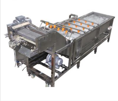 China food & Beverage Plant Leafy Vegetable Cleaning and Fruit Sprinkler/Washing Piping and Sorting Machine for sale