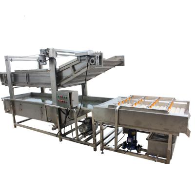 China vegetable conveyor belt washer/fruit processing plant washer root vegetable/lettuce vegetable washing machine for sale