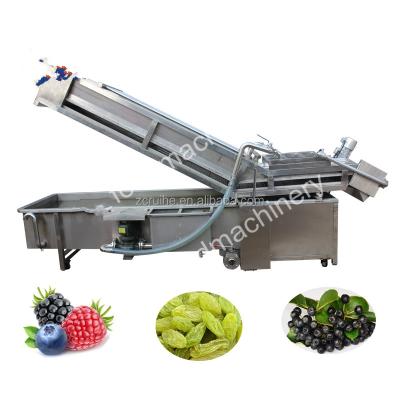 China food & Beverage Factory Fruit and Vegetable Washing Machine for sale