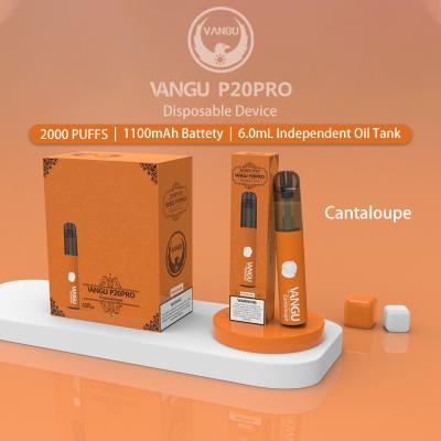 Cina soffi elettronici liquidi Mesh Coil della sigaretta 2000 del cantalupo 6.0ml in vendita